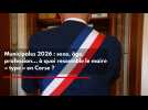 Municipales 2026 : sexe, âge, profession... à quoi ressemble le maire « type » en Corse ?