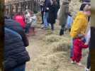 Bienvenue à la ferme, quand les agriculteurs ouvrent leurs portes