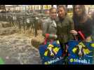 Au Salon de l'agriculture, des goodies partout et des visiteurs pris pour des vaches à lait