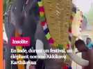 L'éléphant Akkikavu Karthikeyan s'est attaqué à Vivek, un homme de 26 ans, lors des festivités annuelles de Valiyavilakk