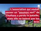Arbres tronçonnés, cette association de Challans a perdu sa bataille mais ne baisse pas les bras