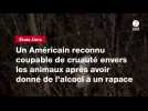VIDEO. Un Américain reconnu coupable de cruauté envers les animaux après avoir donné de l'alcool à un rapace