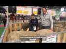 VIDÉO. Salon de l'agriculture 2026. Directeur financier à Paris, éleveur de moutons en Mayenne