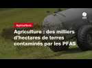 VIDEO. Agriculture : des milliers d'hectares de terres contaminés par les PFAS