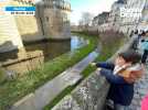 VIDÉO. Le château des ducs de Bretagne à Nantes : quand les douves débordent et deviennent une attraction touristique