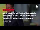 VIDEO. Une tête de cochon découverte devant le domicile de Christian Estrosi à Nice : une enquête ouverte