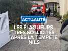 Les élagueurs très sollicités après la tempête Nils
