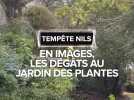 Tempête Nils : Les dégâts au jardin des plantes