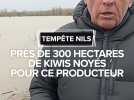 Tempête Nils : Près de 300 hectares de kiwis noyés