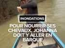 Inondations : Johanna obligée de se déplacer en barque pour nourrir ses chevaux