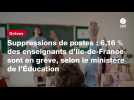 VIDEO. Suppressions de postes : 6,16 % des enseignants d'Île-de-France sont en grève, selon le ministère de l'Éducation