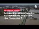 VIDÉO. Comment les villes s'adaptent aux inondations de plus en plus fréquentes ?