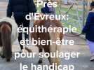 Près d'Évreux, équithérapie et bien-être pour soulager le handicap