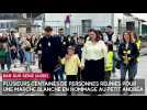 Plusieurs centaines de personnes réunies à Bar-sur-Seine pour une marche blanche en hommage au petit Andréa