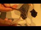 De l'Europe avec goût : Le "premier caviar écologique au monde" régale de nouveaux marchés