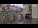 VIDÉO. Nantes : mais d'où vient l'eau qui remplit les douves du château des ducs de Bretagne ?
