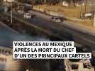 Mexique : violences après la mort du chef d'un des principaux cartels