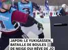 Japon: le yukigassen, bataille de boules de neige qui rêve de JO