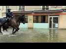 Les chevaux de la police municipale au plus près des inondés