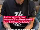 Quels seront les gardiens des Diables à la Coupe du Monde ? L'avis de Philippe Vande Walle