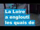 VIDÉO. Les guinguettes de Loire sous les eaux près de Nantes