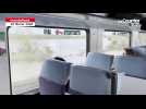 VIDÉO. "Une expérience étonnante" : dans le train au-dessus de la Loire