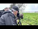 VIDÉO. Dans le marais de Grée, les crues font le bonheur des oiseaux
