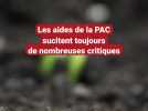 Pourquoi les aides de la PAC sont si critiquées ?