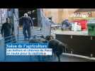 Les béliers et chèvres de Paca à l'assaut du Salon de l'agriculture 2026