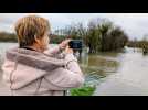 VIDÉO. La Vire en crue près de Saint-Lô : "Il y a longtemps que ça n'était pas arrivé comme ça"
