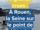 Vigilance crues : la Seine va bientôt déborder à Rouen