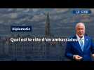 Diplomatie : quel est le rôle d'un ambassadeur ?