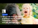 "En cas de crise de colère d'un enfant, la priorité est de préserver l'espace de chacun", les conseils d'une psy
