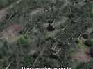 Paysage dévasté dans les forêts de l'Espinouse après le passage de la tempête Nils