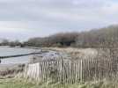 Entre animaux et plan d'eau : un nouveau sentier de 2,5 km ouvre à Oye-Plage