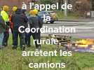 Steenvoorde : des agriculteurs arrêtent des camions étrangers à l'appel de la coordination rurale