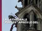 LAON: La cathédrale purgée après le gel