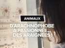 D'archnophobe à amis des araignées : Jessica, alias Terrapodia, raconte son parcours atypique