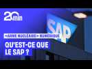 C'est quoi le SAP, «l'arme nucléaire numérique» de l'Europe ?
