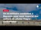 VIDEO. Un ex-militaire condamné à Bayonne pour avoir importé des milliers de pilules Viagra contrefaites