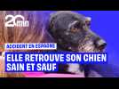 Après l'accident de train mortel en Espagne, elle retrouve son chien sain et sauf