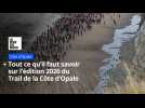 Tout ce qu'il faut savoir sur l'édition 2026 du Trail de la Côte d'Opale