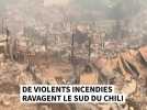 De violents incendies ravagent le Sud du Chili