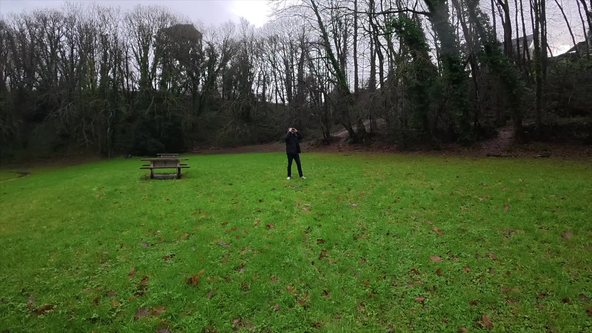 Devenez « chercheur d’un jour » : participez au grand comptage des oiseaux ces samedi 24 et dimanche 25 janvier [Vidéo]