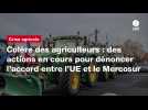 VIDÉO. Colère des agriculteurs : des actions en cours pour dénoncer l'accord entre l'UE et le Mercosur