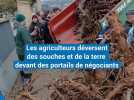 Manifestation des agriculteurs : des bennes déversées devant des portails de négociants