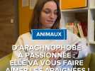 D'arachnophobe à passionnée : elle va vous faire aimer les araignées