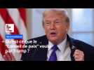 Qu'est-ce que le "Conseil de paix" voulu par Trump ?