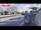 VIDÉO. À Avranches, les agriculteurs bloquent l'A84 dans le sens Caen-Rennes et contrôlent les camions