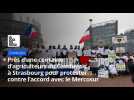 Mercosur : des agriculteurs du Cambrésis présents à Strasbourg